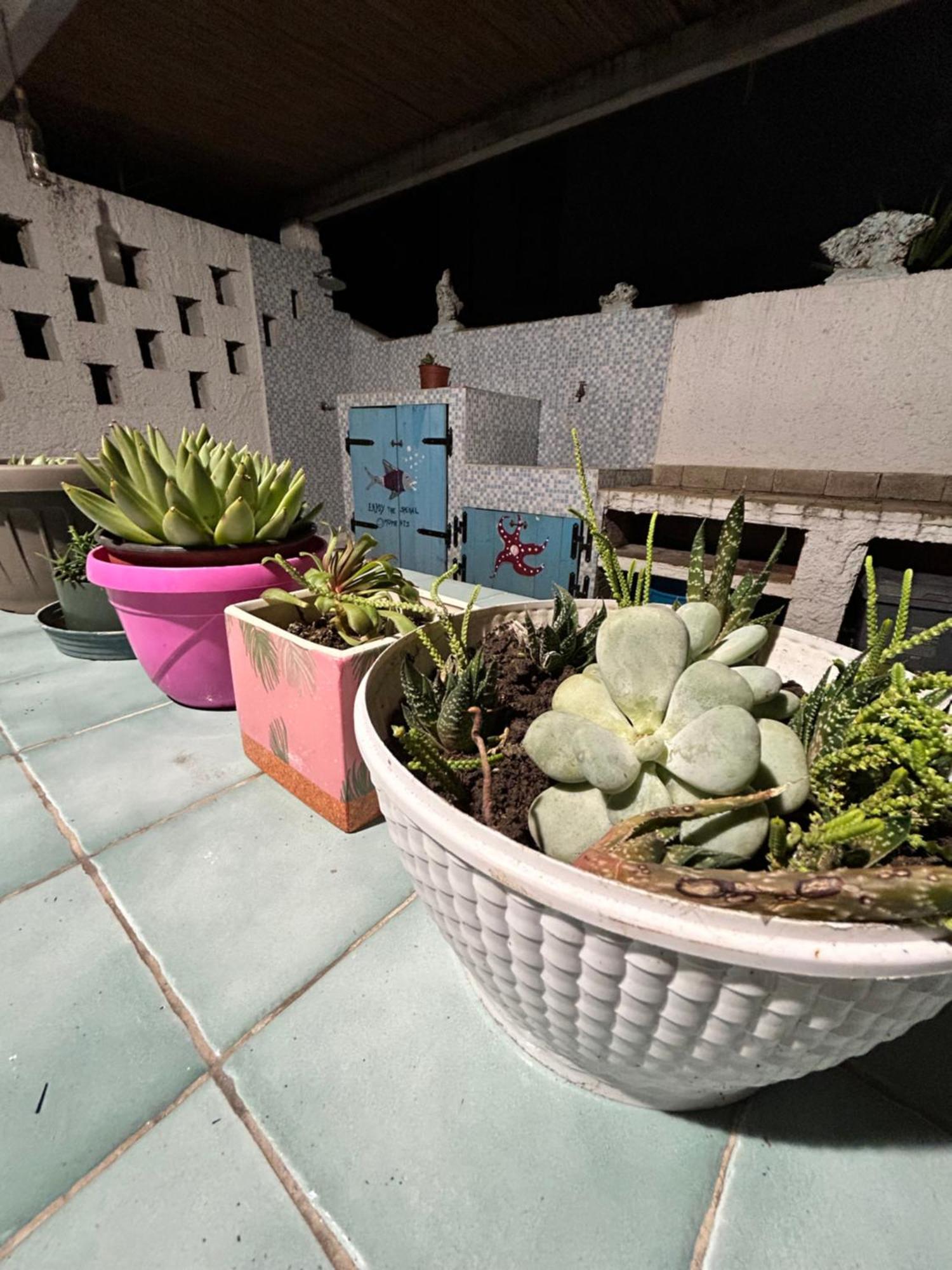 Ferienwohnung Li Pintaderi Isola Rossa Exterior foto